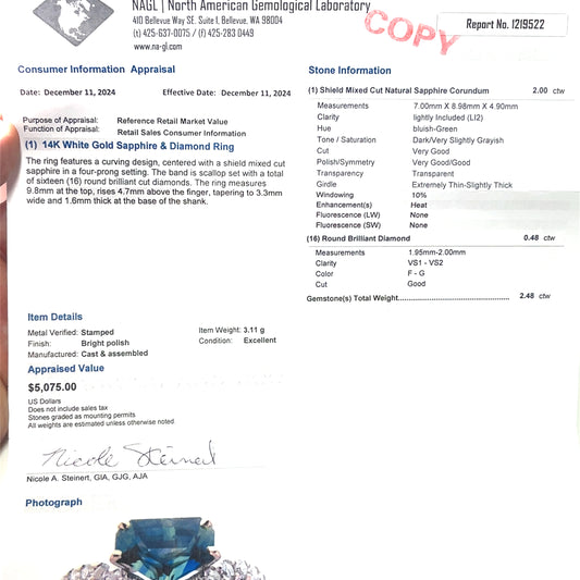 Sapphire shield